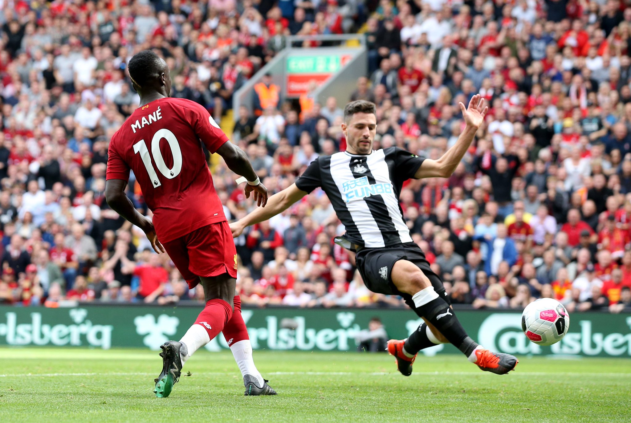 面对上海海 面对上海海